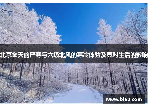 北京冬天的严寒与六级北风的寒冷体验及其对生活的影响